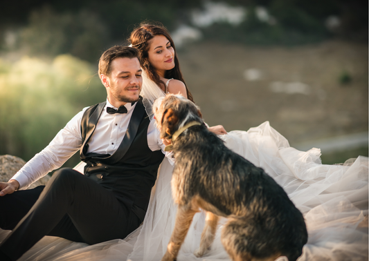Why Including Your Dog in Your Wedding Is the Sweetest New Trend - And How Two Small Businesses Make It Effortless