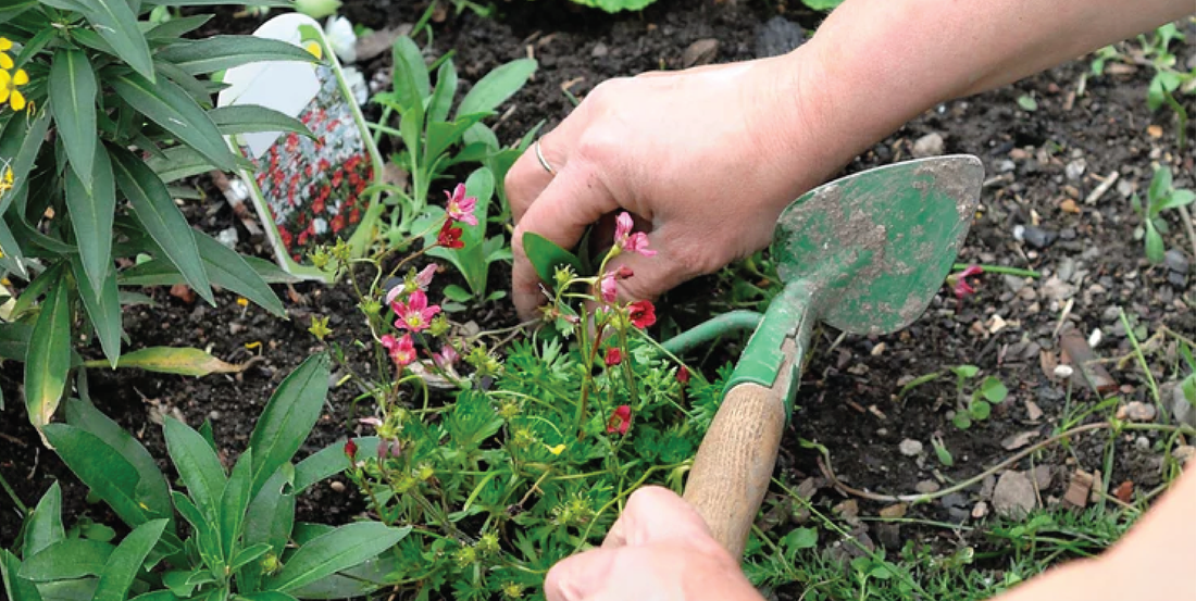 Keep your ring in a ring keeper while gardening.